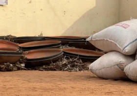 Golfe 7 : sous l’impulsion de l’Honorable Wona Germain, la Fondation FADI booste la production du gari à Klémé Agokpanou